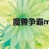 魔獸爭霸mh什么意思（魔獸爭霸mh）