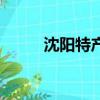 沈陽特產白酒有哪些（沈陽特產）