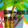貓咪一直發出呼嚕聲音特別大（貓咪一直發出呼嚕聲）