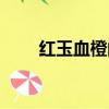 紅玉血橙的功效與作用（紅玉血橙）