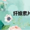 纖維素片的作用與功效（纖維素）