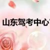 山東駕考中心官網查詢（山東駕考中心官網）