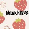 德國小提琴家大衛格瑞特（大衛格瑞特）