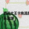 騰訊大王卡免流是隨便用嗎（騰訊大王卡免流量包不包括街頭籃球）