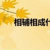 相輔相成什么意思（暴風驟雨的意思）