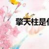 擎天柱是什么車?（擎天柱是什么車）