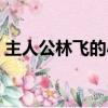 主人公林飛的小說（有一部小說主角叫林飛）