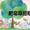 肥皂草提取物對皮膚的作用（肥皂草）