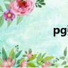 pg強襲高達（pg強襲）