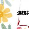 連枝共冢下一句（連枝共冢）