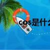 cos是什么游戲?（cos是什么游戲）