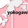 yokogawa溫度記錄儀（yokogawa）