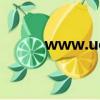 www.ucans.net（9900lu net）