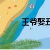 王爺娶丑女電視劇（丑女電視劇）