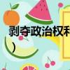 剝奪政治權利終身是什么意思（政治權利終身）