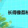 長得像荔枝帶毛的水果（帶毛的水果）