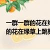 一群一群的花在綠草上跳舞狂歡仿寫擬人句有的（一群一群的花在綠草上跳舞狂歡有的）