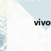 vivo博客（vivibear博客）
