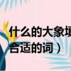什么的大象填合適的詞三年級（什么的大象填合適的詞）
