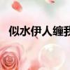 似水伊人纏我心下一句（似水伊人纏我心）