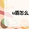 u盾怎么用視頻教程（u盾怎么用）