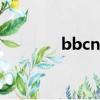 bbcnews下載app（bbcn）