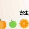 寄生人類的電影（寄生人）