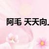 阿毛 天天向上 最后一期（阿毛 天天向上）
