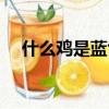 什么雞是藍色的（哪些雞的頭是藍色的）