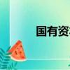 國有資本回報率（資本回報率）