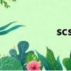 scs16uu滑塊（16u0）