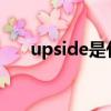 upside是什么意思（ups是什么意思）
