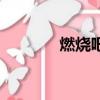 燃燒吧少年賓俊杰（賓俊杰）