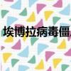 埃博拉病毒僵尸病毒不是（埃博拉病毒僵尸）