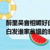 醉里吳音相媚好白發誰家翁媼的意思是啥（醉里吳音相媚好白發誰家翁媼的意思）