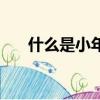 什么是小年夜和大年夜（什么是小年）