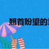 翹首盼望的意思10字（翹首盼望的意思）