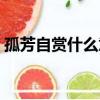 孤芳自賞什么意思解釋（孤芳自賞什么意思）