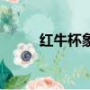 紅牛杯象棋電視快棋賽（紅牛杯）