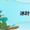 冰葉菊又叫什么（冰葉菊）