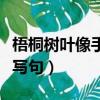 梧桐樹葉像手掌仿寫一句（梧桐樹葉像手掌仿寫句）