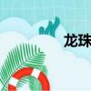 龍珠傳奇（龍珠evm2 1）