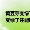 黃豆芽變綠了還能吃嗎 會不會有毒（黃豆芽變綠了還能吃嗎）