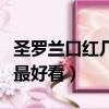 圣羅蘭口紅幾號最好看顯白（圣羅蘭口紅幾號最好看）