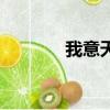 我意天下皇太極（我意天下）