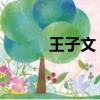 王子文 美（四美為王子文慶生）