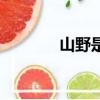 山野是誰的作品（山野原名）