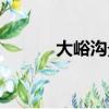 大峪溝景區門票多少錢（大峪）