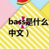 bass是什么意思中文名字（bass是什么意思中文）