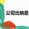 公司出納是什么意思（出納是什么意思）